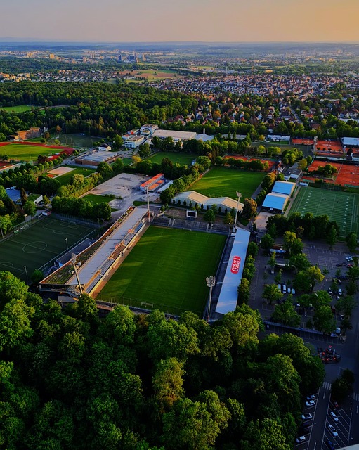 大放异彩 大放异彩